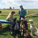 Pat Nolan with COVID detection dogs