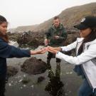 Students standing outside at Bodega bay