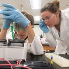 Two people in lab coats with pipette in lab environment