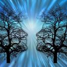 Graphic of two branching trees shaped as human heads facing each other. Between them is a burst of light. 