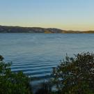 Clear Lake with bushes framing foreground