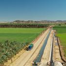 l Aerial shot of dirt road surrounded by green winter crops in California's arid Imperial Valley.