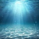 Underwater image of a sandy ocean floor with sunlight filtering from above. 