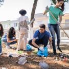 People cleaning up a park