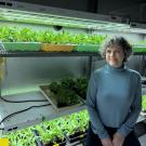 Woman in a blue sweater stands beside shelves of vibrant green plants under grow lights.