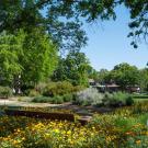 Green landscaping with blue sky in background