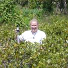 Carolyn Lundquist stands almost shoulder deep in the brush.