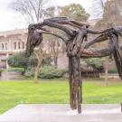 Wooden horse sculpture in a grassy area on the UC Davis campus
