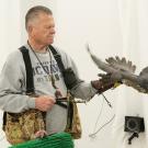 A person in a gray sweatshirt holds a peregrine falcon on their arm, with a neutral background.