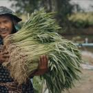 farmer carrying plants