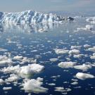 Melting icebergs off of the coast of Greenland