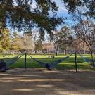 Hammocks in use on the Quad