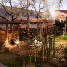 A serene outdoor courtyard with wooden pergolas, benches, and desert plants, including tall cacti. A person sits on a wooden bench under the pergola, reading in the warm sunlight. The surrounding buildings have large windows, and trees with bare branches cast shadows on the ground. The space features a mix of natural and built elements, creating a peaceful and inviting atmosphere.