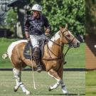 Two photos, each of a man in polo gear riding a horse. On the left, he is holding the reins with one hand while the horse is trotting. He looks over his right shoulder and holds a polo stick in his right hand. In the photo on the right, the horse is running toward the camera. He holds the polo stick upright and the white ball can be seen midair in the foreground.