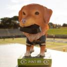 Pint K-9 bobblehead in UC Davis Health Stadium