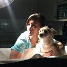 A student in scrubs holds a dog at UC Davis. 