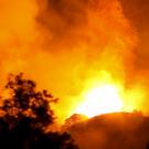 wildfire burning amidst trees