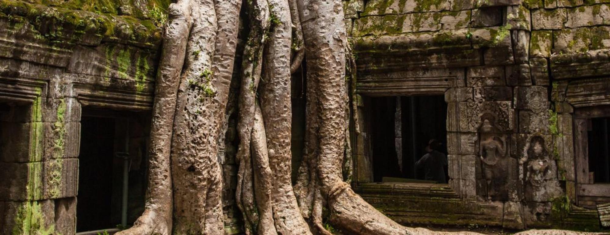 Ta Prohm Temple