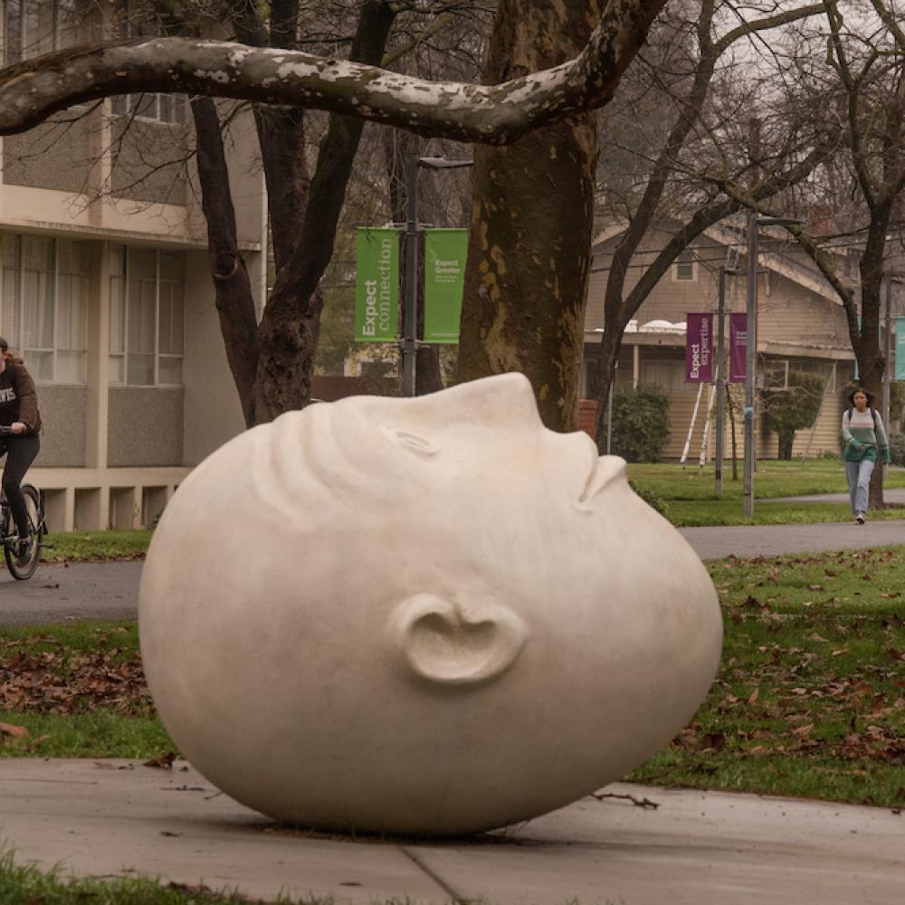 Stargazer egghead scuplture on a winter day