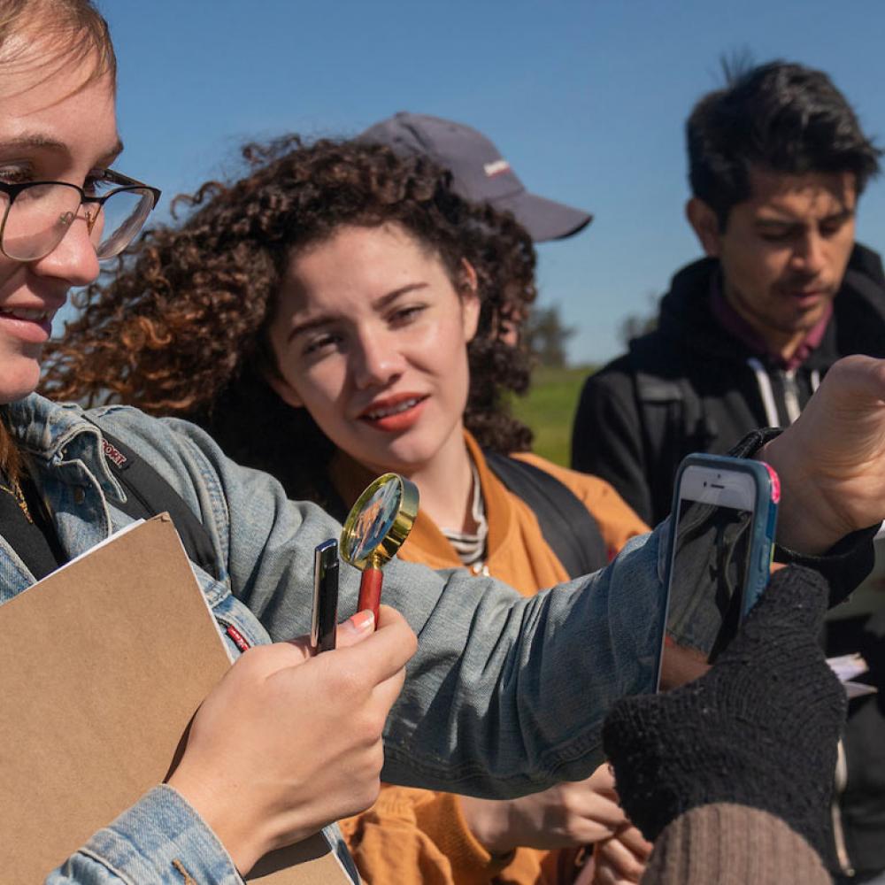 Students examine a field specimen