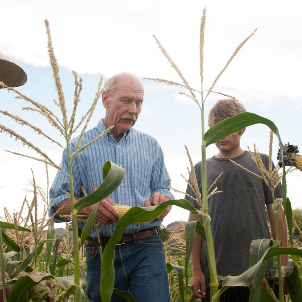 A professor discusses a corn crop with this students