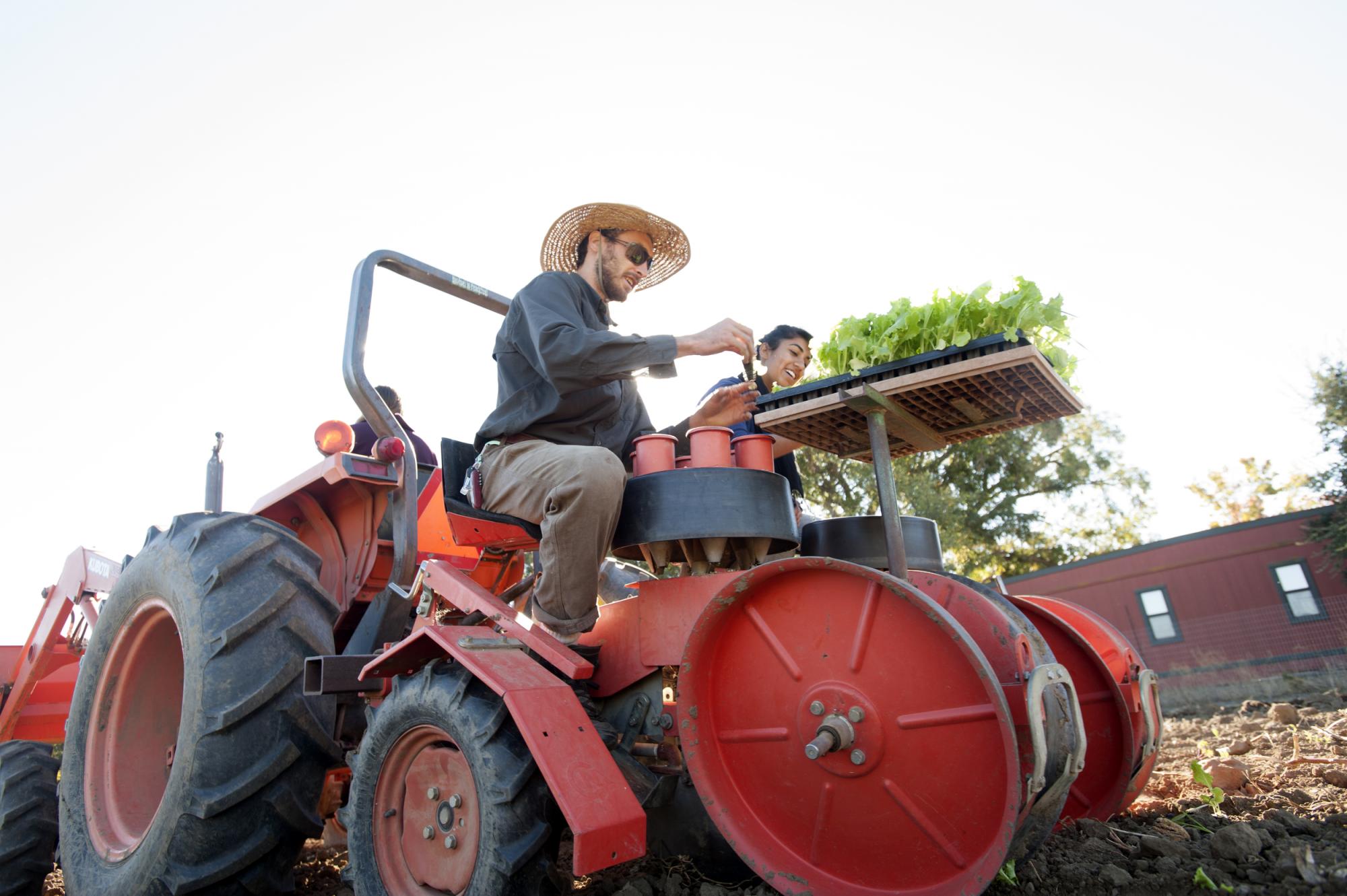 Man driving a tractor carrying vegetation