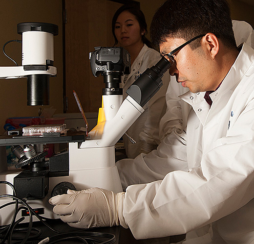 Man looking into a microscope